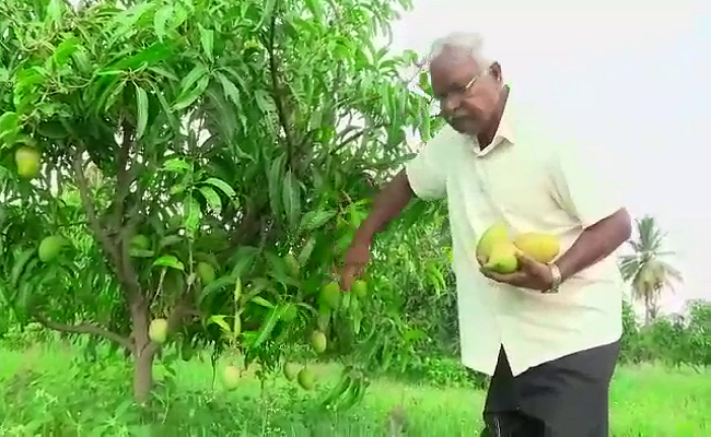 ನಿವೃತ್ತ ಅಧಿಕಾರಿಯಿಂದ ವಿಭಿನ್ನ ಹಣ್ಣು ಮಾರಾಟ