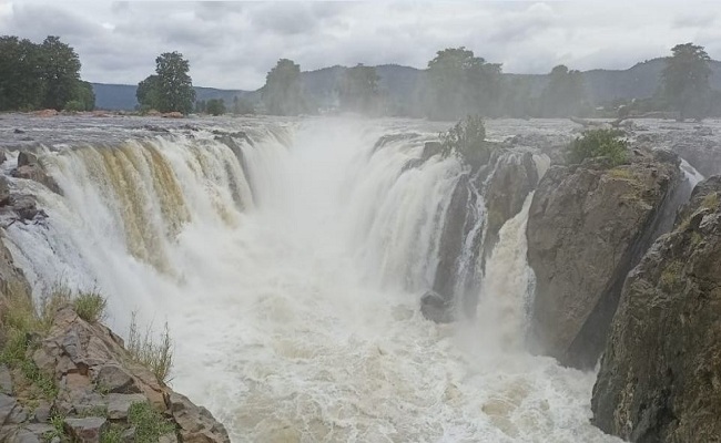 ಭೋರ್ಗರೆದು ಹರಿಯುತ್ತಿರುವ ಹೊಗೆನಕಲ್​ ಫಾಲ್ಸ್​