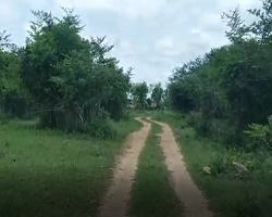 ರಾಷ್ಟ್ರೀಯ ಉದ್ಯಾನವನದಲ್ಲಿ ರಾಣಾ ದರ್ಬಾರ್