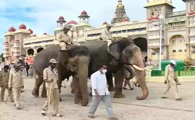 ಅರಮನೆನಗರಿಯಲ್ಲಿ ಕಳೆಗಟ್ಟಿದ ದಸರಾ ಸಂಭ್ರಮ