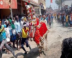 ಹಾವೇರಿಯಲ್ಲಿ ಹೋರಿ ಹಬ್ಬದ ಸಂಭ್ರಮ