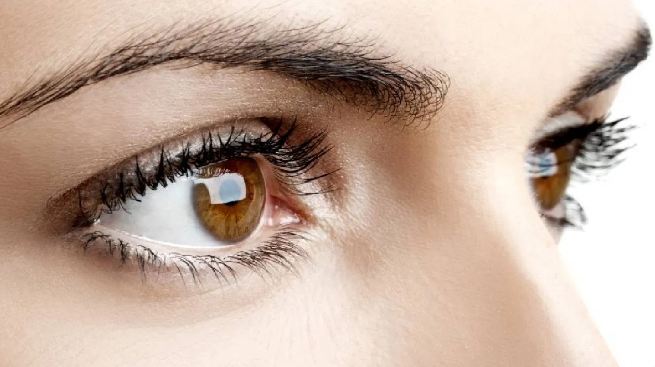 Eye Care: ದಿನವಿಡೀ ಕೆಲಸ ಮಾಡುವ ನಿಮ್ಮ ಕಣ್ಣುಗಳಿಗೂ ಬೇಕು ಆರೈಕೆ