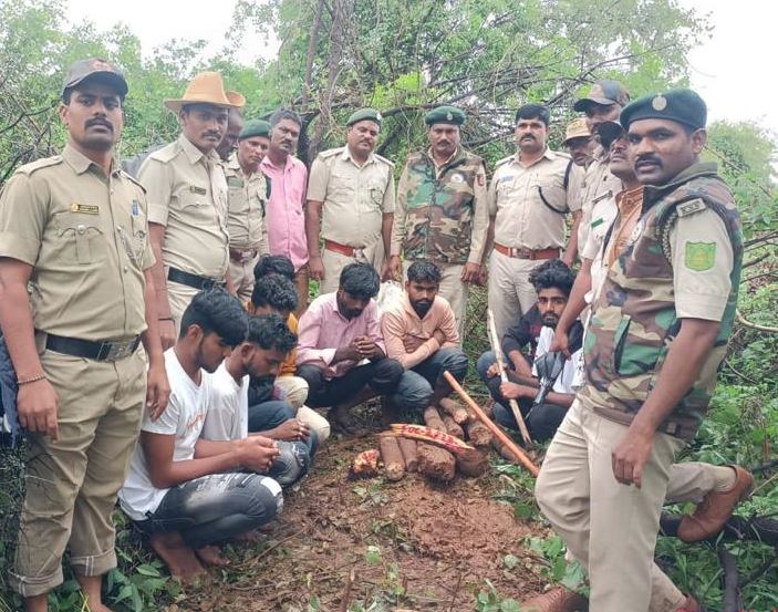 ಅಕ್ರಮವಾಗಿ ಶ್ರೀಗಂಧ ಮರಗಳನ್ನು ಸಾಗಿಸುತ್ತಿದ್ದ ಆರೋಪಿಗಳ ಬಂಧನ!