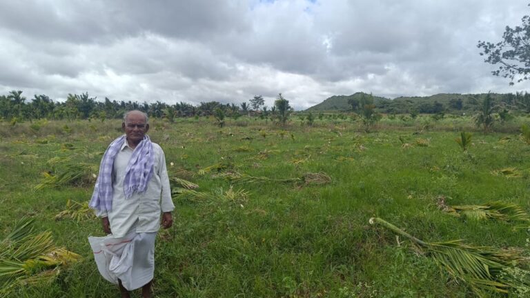 ಕೌಟುಂಬಿಕ ಕಲಹ : ಒಂದು ಎಕರೆ ಅಡಿಕೆ ತೋಟ ನಾಶ