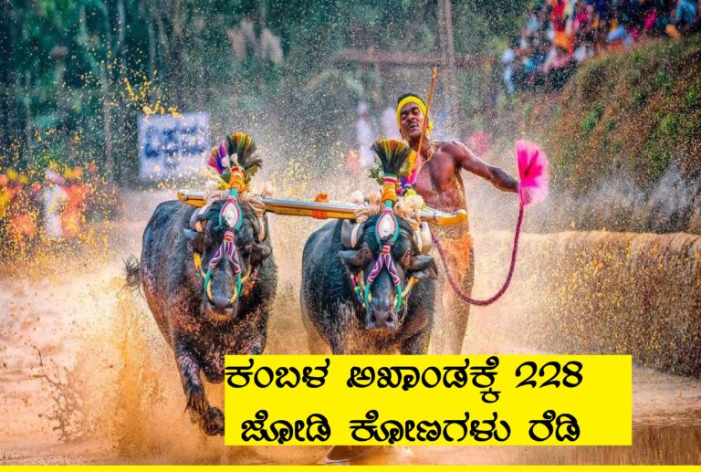 ಕಂಬಳ ಅಖಾಂಡಕ್ಕೆ 228 ಜೋಡಿ ಕೋಣಗಳು ರೆಡಿ