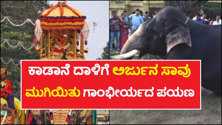 ಉಸಿರು ನಿಲ್ಲಿಸಿದ ‘ಗಜ’ರಾಜ : ದಸರಾದಲ್ಲಿ 8 ಬಾರಿ ಅಂಬಾರಿ ಹೊತ್ತಿದ್ದ ಅರ್ಜುನ ಸಾವು