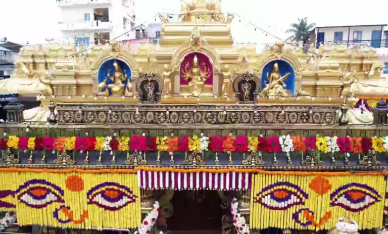 ವರ್ಷದ ಬಳಿಕ ಭಕ್ತರಿಗೆ ದರ್ಶನ ಕೊಟ್ಟ ಹಾಸನಾಂಬೆ