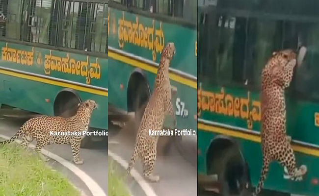 Viral Video : ನನ್ನ ನೋಡೋಕೆ ಯಾಕೆ ಇಷ್ಟು ಕಷ್ಟ; ನಾನೇ ನಿಮ್ಮ ಹತ್ರ ಬರ್ತೀನಿ