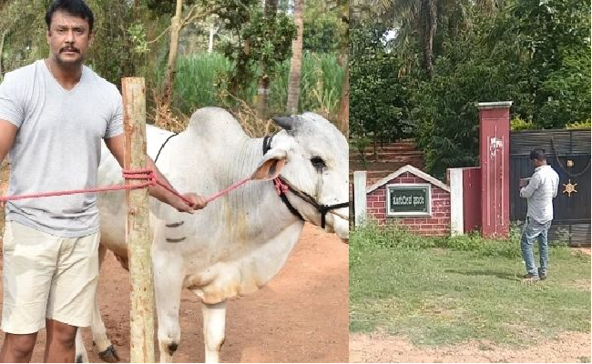 ಮೈಸೂರಿನಲ್ಲಿ ಚಿಕಿತ್ಸೆ ಪಡೆಯಲು ಅನುಮತಿ ಕೋರಿ ನ್ಯಾಯಾಲಯಕ್ಕೆ ಅರ್ಜಿ ಸಲ್ಲಿಸಿದ  ದರ್ಶನ್ !