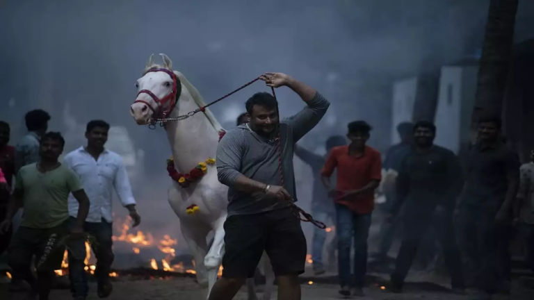 ಮೈಸೂರಿಗೆ ಹೋಗಲು ಅನುಮತಿ ನೀಡಿದ ನ್ಯಾಯಾಲಯ : ಫಾರ್ಮಹೌಸ್​ನಲ್ಲಿ ದಾಸನ ಸಂಕ್ರಾಂತಿ !